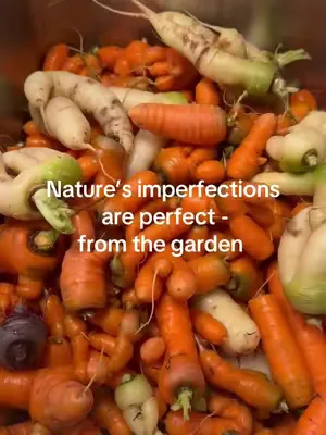 From our garden video cover: from our garden